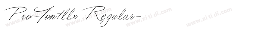 ProFontllx Regular字体转换